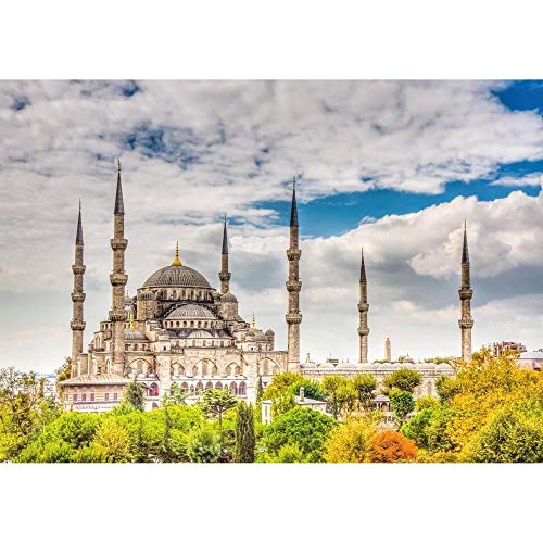 Puzzle 1000 Teile Moschee Istanbul Puzzle Puzzle Spielzeug für Erwachsene Kinder Lernspielzeug/1000 Teile 38x52CM von TNTEVX