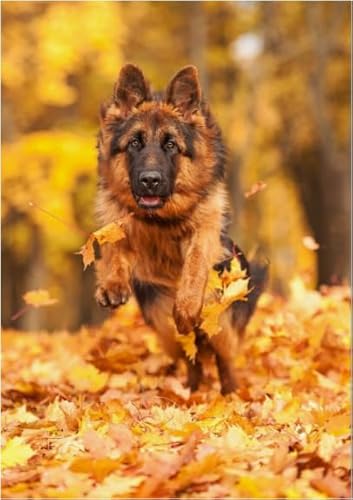 Puzzle 1000 Teile Tierhund-Poster-Puzzle für Erwachsene, Lernspiel, Familiendekompressionsspielzeug Kx542Zy 38x52CM von TNTEVX