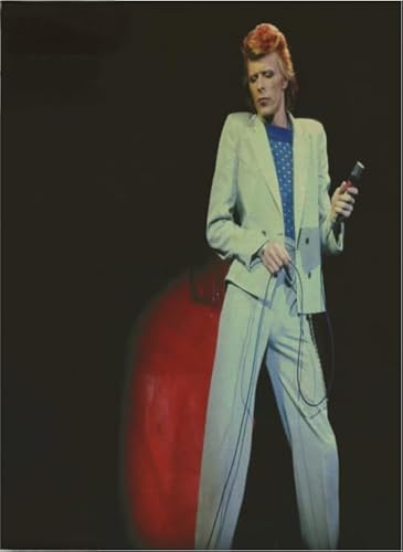 Puzzle 2000 Bowies Sänger Schauspieler DBowie Poster für Erwachsene Lernspielzeug Puzzles Gt132Zw 70x100CM Puzzle 2000 Bowies Sänger Schauspieler DBowie Poster für Erwachsene Lernspielzeug Puzzles Gt132Zw 70x100CM von TNTEVX