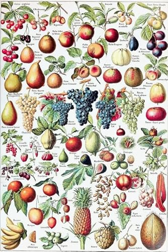 Puzzle 2000 Teile Retro-Obst-Poster für Erwachsene Kinder Spiele Lernspielzeug Geschenk Kx107Zy 70x100CM von TNTEVX