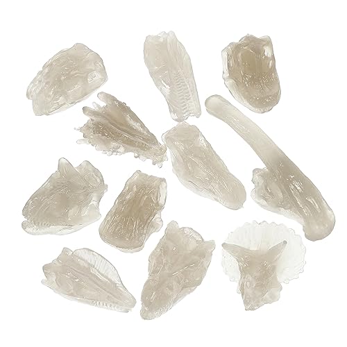 TOBBOMEY 1 Set Dinosaurier Modell Dinosaurier Schädel Spielzeug Dinosaurier Schädel Modelle PVC Dinosaurier Knochen Dinosaurier Requisite Kinder Dinosaurier Knochen 3D Dinosaurier PVC von TOBBOMEY