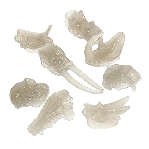 TOBBOMEY 1 Set PVC Dinosaurierschädel Dinosaurier Spielzeug Leuchtender Dinosaurierschädel Dinosaurierknochenformen Dinosaurierschädel Spielzeug Kinderspielzeug Kinder Dinosaurierschädel von TOBBOMEY