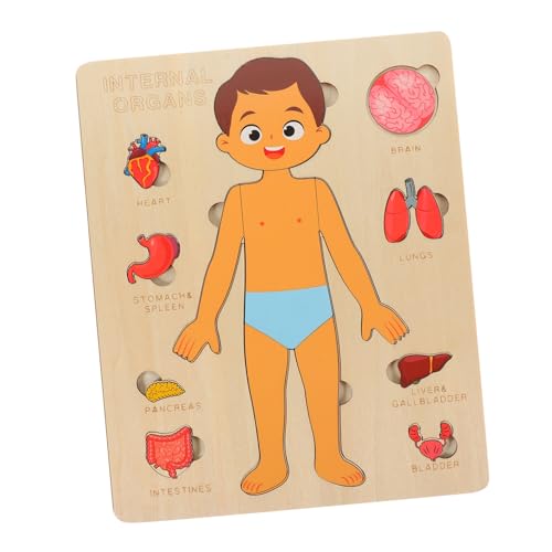 TOBBOMEY 1 Set Puzzle Zur Struktur des Menschlichen Körpers, Kinderorgane, Lernspielzeug, Puzzle Spielzeug, Lehrmittel Für Die Früherziehung, Anatomiemodell, Frühlernspielzeug, TOBBOMEY 1 Set Puzzle Zur Struktur des Menschlichen Körpers, Kinderorgane, Lernspielzeug, Puzzle Spielzeug, Lehrmittel Für Die Früherziehung, Anatomiemodell, Frühlernspielzeug, von TOBBOMEY