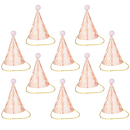 TOBBOMEY 10 Stücke Kinder Erwachsene Geburtstag Party Hüte Rose Papier Hut Pailletten Für Geburtstag Feiern Kostüme TOBBOMEY 10 Stücke Kinder Erwachsene Geburtstag Party Hüte Rose Papier Hut Pailletten Für Geburtstag Feiern Kostüme von TOBBOMEY