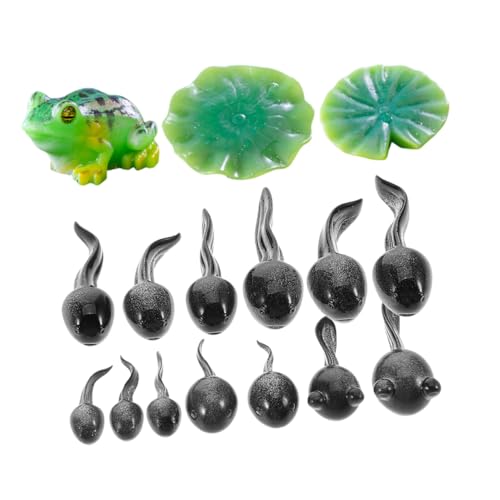 TOBBOMEY 16 Stück Teiliges für DIY Mosslandschaften Dekorative Terrarium Figuren und Gartenornamente Niedliche Frosch Accessoires für Kreative Gestaltung TOBBOMEY 16 Stück Teiliges für DIY Mosslandschaften Dekorative Terrarium Figuren und Gartenornamente Niedliche Frosch Accessoires für Kreative Gestaltung von TOBBOMEY