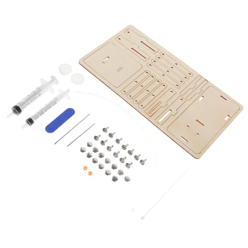 TOBBOMEY 1Satz Hydraulik Hebel Lift aus Holz Kreatives Wissenschafts Bausatz für DIY Montage Puzzle für Junge und Bildungsspielzeug für Experimente von TOBBOMEY