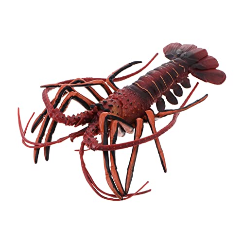 TOBBOMEY 1Stk Hummer-Modell Oktopus Krabbe künstlicher Hummer Wels kinderknallzeug deko Home wohnraumdeko Realistische Tierfigur Ozeantiersimulation Desktop- Plastik rot von TOBBOMEY