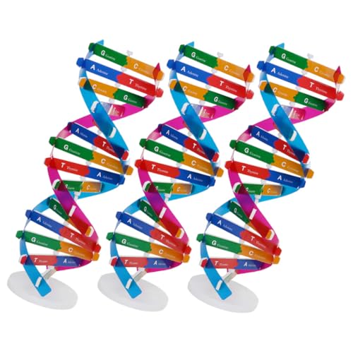 TOBBOMEY 3 Stück Präzises Doppelhelixmodell für Biologieunterricht Interaktive Lernhilfe für Gene und DNA Strukturen für Gruppenaktivitäten und DIY Projekte TOBBOMEY 3 Stück Präzises Doppelhelixmodell für Biologieunterricht Interaktive Lernhilfe für Gene und DNA Strukturen für Gruppenaktivitäten und DIY Projekte von TOBBOMEY