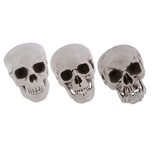 TOBBOMEY 3 Stück Teiliges Halloween Deko Plastik Skelettkopf Realistische Schädelmodelle Vintage Optik für Bar Wohnzimmer Gruselige Festivaldekoration und Escape Zubehör von TOBBOMEY