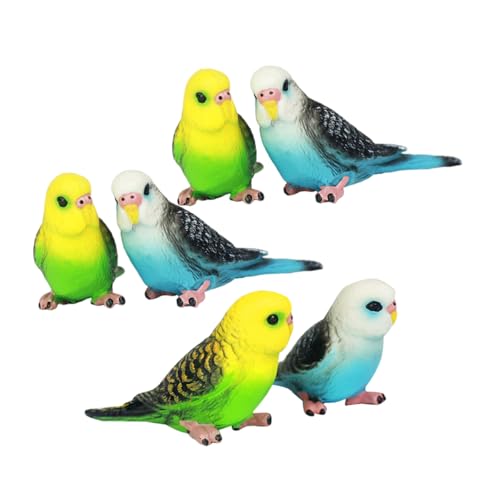 TOBBOMEY 6 Stück Realistische Papageien Modelle aus Kunststoff Lebensechte Vogelspielzeuge mit Glatten Oberflächen für Tragbare Dekofiguren für Garten Kuchen und Lernspielzeug TOBBOMEY 6 Stück Realistische Papageien Modelle aus Kunststoff Lebensechte Vogelspielzeuge mit Glatten Oberflächen für Tragbare Dekofiguren für Garten Kuchen und Lernspielzeug von TOBBOMEY