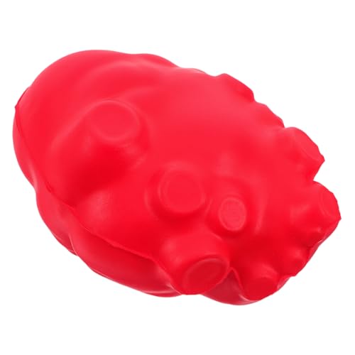 TOBBOMEY Anatomisches Herzmodell für Unterricht Realistisches Simulationsorgan zur Anatomielehre und Biologielabors Fördert Praxisnahe Lehrmethoden und Steigert Interesse TOBBOMEY Anatomisches Herzmodell für Unterricht Realistisches Simulationsorgan zur Anatomielehre und Biologielabors Fördert Praxisnahe Lehrmethoden und Steigert Interesse von TOBBOMEY