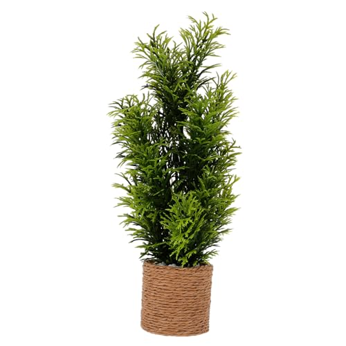 TOBBOMEY Bonsai Dekoration Kleine Künstliche Pflanze für Puppenhäuser Langlebiges Modell für Mini Vielseitige Tischdeko Charmante Raumgestaltung TOBBOMEY Bonsai Dekoration Kleine Künstliche Pflanze für Puppenhäuser Langlebiges Modell für Mini Vielseitige Tischdeko Charmante Raumgestaltung von TOBBOMEY