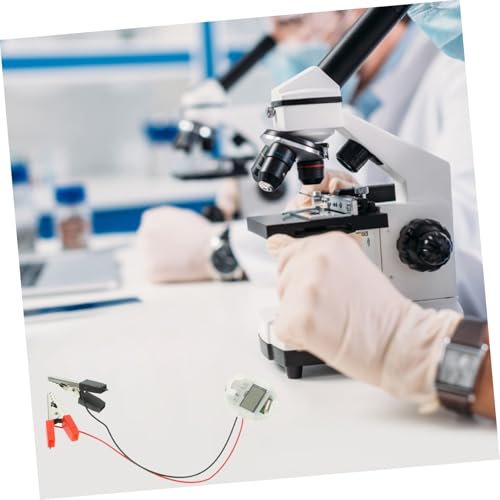 TOBBOMEY DIY Fruchtbatterie Experimentierset für Schüler mit Kartoffeluhr Stromerzeugendes Wissenschaftsspielzeug Kreatives Lernset für Elektronik und Naturwissenschaftliche Experimente von TOBBOMEY