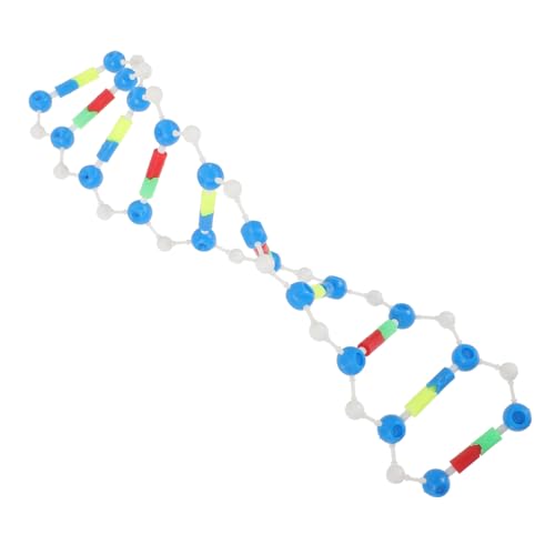 TOBBOMEY DNA Doppelhelix Modell Bausatz Interaktives Pädagogisches Lehrmittel mit Steckteilen Anschauliches Biologie Lernmodell für Schule Labor und Zuhause Fördert Beobachtung und TOBBOMEY DNA Doppelhelix Modell Bausatz Interaktives Pädagogisches Lehrmittel mit Steckteilen Anschauliches Biologie Lernmodell für Schule Labor und Zuhause Fördert Beobachtung und von TOBBOMEY