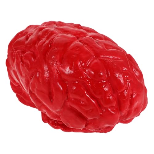 TOBBOMEY Halloween Gehirn Requisiten, Halloween Party Zubehör, Organ Requisiten, Halloween Gehirn Spielzeug Requisiten, Halloween Körperteile, Gefälschte Organe, Gefälschte Körperteile, TOBBOMEY Halloween Gehirn Requisiten, Halloween Party Zubehör, Organ Requisiten, Halloween Gehirn Spielzeug Requisiten, Halloween Körperteile, Gefälschte Organe, Gefälschte Körperteile, von TOBBOMEY