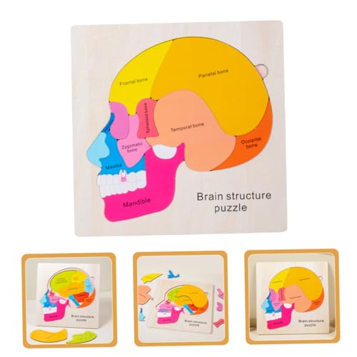 TOBBOMEY Holz Puzzle Gehirnstruktur Modell für Teiliges Montessori Lernspielzeug zur Frühkindlichen Mehrschichtiges Pädagogisches Gehirnspiel Motorische Geschicklichkeit Spielerisch TOBBOMEY Holz Puzzle Gehirnstruktur Modell für Teiliges Montessori Lernspielzeug zur Frühkindlichen Mehrschichtiges Pädagogisches Gehirnspiel Motorische Geschicklichkeit Spielerisch von TOBBOMEY