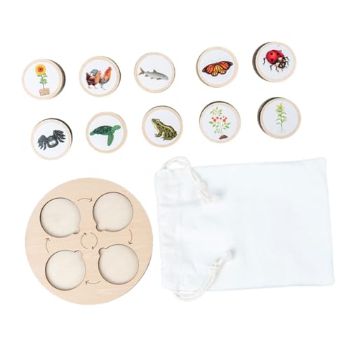 TOBBOMEY Holz Tierspielzeug Lebenszyklus Modell mit Pädagogisch Kindgerecht Langlebig Fördert Naturverständnis und Eltern Junge Mädchen Interaktion Teilig für Frühe Bildung und Kognitives von TOBBOMEY
