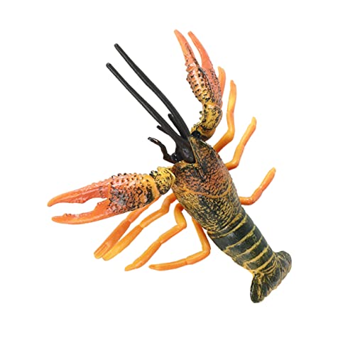 TOBBOMEY Hummer Modellspielzeug Kognitives Bildungsspielzeug für Realistisches Tiermodell für Kreative und Dekoration für Schreibtisch TOBBOMEY Hummer Modellspielzeug Kognitives Bildungsspielzeug für Realistisches Tiermodell für Kreative und Dekoration für Schreibtisch von TOBBOMEY