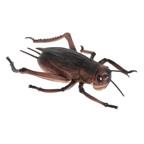TOBBOMEY Insektenmodell, Grillenfiguren, Lernrequisite, Exquisite Grillendekorationen, Exquisite Grillenstatuen Dekoration, Große Grillenornamente, Plastikschmuck, Bastelstatuen, TOBBOMEY Insektenmodell, Grillenfiguren, Lernrequisite, Exquisite Grillendekorationen, Exquisite Grillenstatuen Dekoration, Große Grillenornamente, Plastikschmuck, Bastelstatuen, von TOBBOMEY