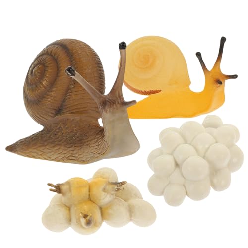 TOBBOMEY Interaktives Schneckenwachstumsmodell aus Kunststoff Realistische Figuren zur Lebenszyklus darstellung Pädagogisches Ab Monaten für Natur Tierkunde von TOBBOMEY