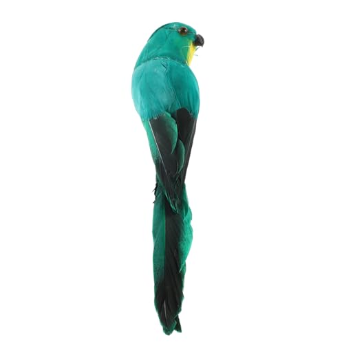 TOBBOMEY Künstliches Vogelornament Papagei für Garten Dekoration Realistische Papageienfigur Schaumstoff Wetterfest Lebensecht für und Außenbereiche TOBBOMEY Künstliches Vogelornament Papagei für Garten Dekoration Realistische Papageienfigur Schaumstoff Wetterfest Lebensecht für und Außenbereiche von TOBBOMEY