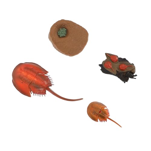 TOBBOMEY Lebensechte Meeresbewohner Realistische Tierfiguren für Pädagogisch Umweltfreundlich als Dekoration und Lernspielzeug Ocean Animal Simulation für Zuhause und Büro von TOBBOMEY