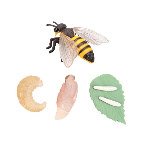 TOBBOMEY Lebensechtes Bienen Lebenszyklus Modell aus Lernspielzeug und Party Deko Realistische Insekten Wachstumsphasen Darstellung Kreative Tierfiguren zur Naturerfahrung TOBBOMEY Lebensechtes Bienen Lebenszyklus Modell aus Lernspielzeug und Party Deko Realistische Insekten Wachstumsphasen Darstellung Kreative Tierfiguren zur Naturerfahrung von TOBBOMEY