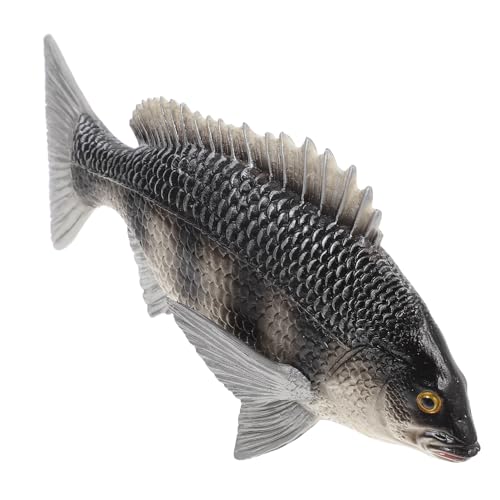 TOBBOMEY Lebensechtes Fischmodell Solides Meeresbewohner Dekoration Lernspielzeug für Junge Mädchen und Jungen Realistische Bream Figur für Wohnkultur und Pädagogisches TOBBOMEY Lebensechtes Fischmodell Solides Meeresbewohner Dekoration Lernspielzeug für Junge Mädchen und Jungen Realistische Bream Figur für Wohnkultur und Pädagogisches von TOBBOMEY