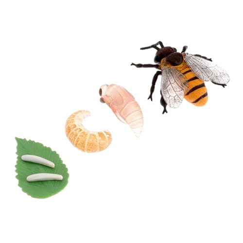 TOBBOMEY Lernspielzeug Bienenzyklus Modell Pädagogisches Biologie Lernset Langlebiges Kunststoff Material Leicht Tragbar Anschauliche Lebenszyklus Simulation für Natur und Insektenfans von TOBBOMEY