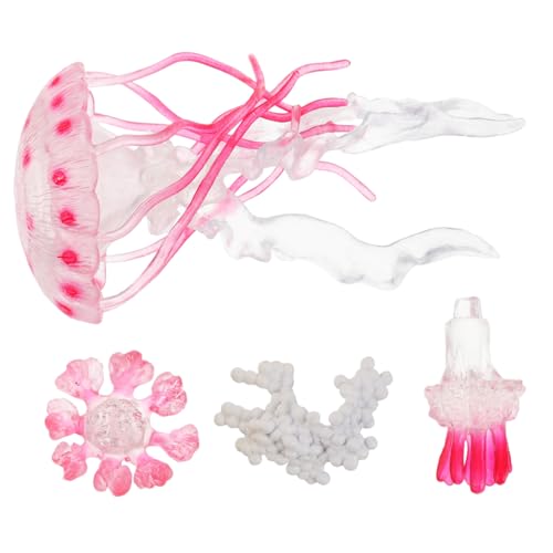 TOBBOMEY Lernspielzeug Lebenszyklus Quallenfigur Künstliche Desktop Dekoration Interaktives Montessori Wissenschaftsset Pädagogisch Motorische Aquarium Deko für Vorschulkinder von TOBBOMEY