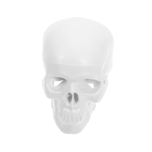 TOBBOMEY Mini Schädelmodell aus Kunststoff Realistisches Menschliches Anatomie Modell mit Beweglichem Unterkiefer Kleines Plastisches Skelettmodell für Studium Zeichnung Medizinische TOBBOMEY Mini Schädelmodell aus Kunststoff Realistisches Menschliches Anatomie Modell mit Beweglichem Unterkiefer Kleines Plastisches Skelettmodell für Studium Zeichnung Medizinische von TOBBOMEY