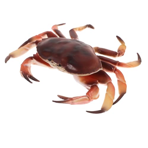TOBBOMEY Modell Krabbe Simulation Krabbe Figur Simulation Krabbe Modell Desktop Krabbe Dekoration Simulation Tier Modell Simulation Krabbe Dekoration Krabbe Skulptur Krabbe Figur Modell TOBBOMEY Modell Krabbe Simulation Krabbe Figur Simulation Krabbe Modell Desktop Krabbe Dekoration Simulation Tier Modell Simulation Krabbe Dekoration Krabbe Skulptur Krabbe Figur Modell von TOBBOMEY