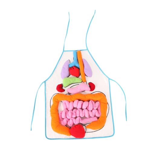 TOBBOMEY Organschürze Anatomie Lernspielzeug Transparent Pädagogisch Frühförderung Hand Auge koordination Gedächtnisförderung Kindergarten und Zuhause TOBBOMEY Organschürze Anatomie Lernspielzeug Transparent Pädagogisch Frühförderung Hand Auge koordination Gedächtnisförderung Kindergarten und Zuhause von TOBBOMEY