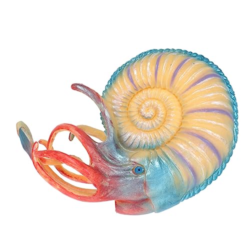 TOBBOMEY Plastik Nautilus Modell Realistische Meerestiere Spielfigur Langlebiges zur Meereslebewesen Bildung Umweltbewusstes Tiermodell TOBBOMEY Plastik Nautilus Modell Realistische Meerestiere Spielfigur Langlebiges zur Meereslebewesen Bildung Umweltbewusstes Tiermodell von TOBBOMEY