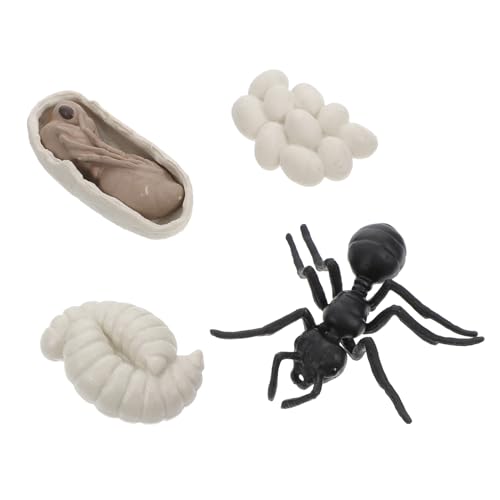 TOBBOMEY Realistisches Ameisen Wachstumszyklus Modell Pädagogische Worker Ants Figuren Detailreiche Display Ornamente für Kinderzimmerdekoration und Unterrichtsgebrauch Teiliges TOBBOMEY Realistisches Ameisen Wachstumszyklus Modell Pädagogische Worker Ants Figuren Detailreiche Display Ornamente für Kinderzimmerdekoration und Unterrichtsgebrauch Teiliges von TOBBOMEY