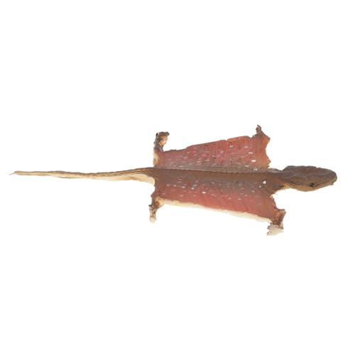 TOBBOMEY Realistisches Gecko Modell Dekoration Halloween Figurine Detailgetreues Reptilienmodell für Garten und Innenbereich Vielseitig Nutzbarer Dekoartikel und Scherzobjekt TOBBOMEY Realistisches Gecko Modell Dekoration Halloween Figurine Detailgetreues Reptilienmodell für Garten und Innenbereich Vielseitig Nutzbarer Dekoartikel und Scherzobjekt von TOBBOMEY