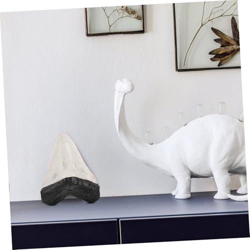 TOBBOMEY Realistisches Haizahn dekor aus Widerstandsfähigem Kunststoff Langlebiges Verblassungsbeständiges Sammlerstück und Vielseitige Desktop ornament für Retro deko und Lehrzwecke von TOBBOMEY