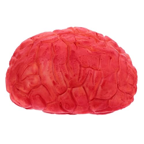 TOBBOMEY Realistisches Halloween Deko Gehirn Attrappe in Dunkelrot Lebensgroßes Fake Brain für Gruselige Horror und Spukhaus Party Geeignet als Schaurige Requisite und Halloween Party von TOBBOMEY