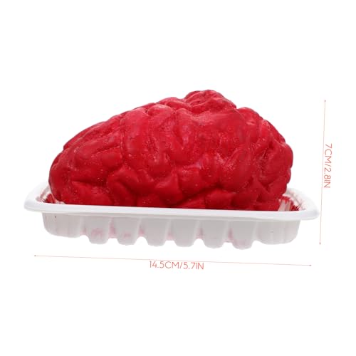 TOBBOMEY Realistisches Halloween Gehirn und Herz Deko Lebensechte Körperorgane Prop Robustes Party Zubehör für Gruselige Halloween Deko und Kostümparty Atmosphäre TOBBOMEY Realistisches Halloween Gehirn und Herz Deko Lebensechte Körperorgane Prop Robustes Party Zubehör für Gruselige Halloween Deko und Kostümparty Atmosphäre von TOBBOMEY