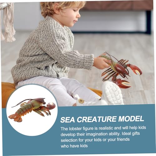 TOBBOMEY Realistisches Hummer Modell Tier Figur Lernspielzeug Desktop Dekoration Kindgerecht Multipurpose TOBBOMEY Realistisches Hummer Modell Tier Figur Lernspielzeug Desktop Dekoration Kindgerecht Multipurpose von TOBBOMEY