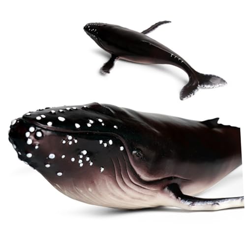 TOBBOMEY Realistisches Humpback Whale Modell aus Premium Kunststoff Dekoratives Meereslebewesen für Sammelobjekt und Stilvolle Deko für Zuhause Büro Langlebig und Detailgetreu Gestaltet von TOBBOMEY