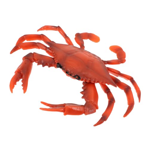 TOBBOMEY Realistisches Krabbenmodell aus Robustem Material Naturgetreue Meereskreatur Mini Deko für Strand Meeresszenen Langlebig und Detailreich für Ab Monaten Geeignet TOBBOMEY Realistisches Krabbenmodell aus Robustem Material Naturgetreue Meereskreatur Mini Deko für Strand Meeresszenen Langlebig und Detailreich für Ab Monaten Geeignet von TOBBOMEY