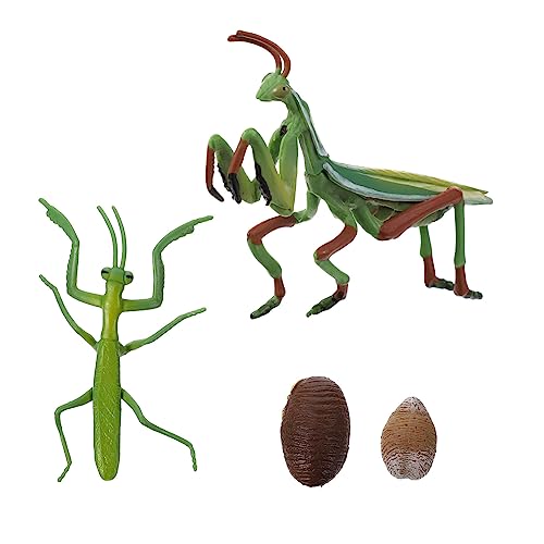 TOBBOMEY Realistisches Mantis Lebenszyklus Modell Phasen Wachstumszyklus Figur Pädagogisches Insekten für Naturforscher Interaktives Lernspielzeug von TOBBOMEY
