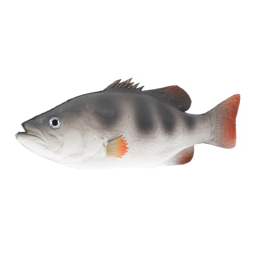 TOBBOMEY Realistisches Simulation Fischmodell Desktop Dekoration Lebensecht Gestaltetes Kunstfischspielzeug Detailreich Gefertigt Vielseitig als Wohn Büro Schreibtischdeko Geeignet TOBBOMEY Realistisches Simulation Fischmodell Desktop Dekoration Lebensecht Gestaltetes Kunstfischspielzeug Detailreich Gefertigt Vielseitig als Wohn Büro Schreibtischdeko Geeignet von TOBBOMEY