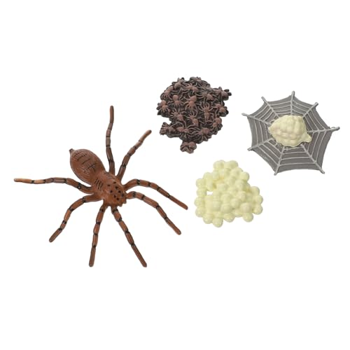 TOBBOMEY Realistisches Spinnenmodell Lebenszyklus Lernspielzeug für Hochwertiger Pädagogisches Insektenspielzeug zur Frühbildung als Dekoration und Anschauungsobjekt TOBBOMEY Realistisches Spinnenmodell Lebenszyklus Lernspielzeug für Hochwertiger Pädagogisches Insektenspielzeug zur Frühbildung als Dekoration und Anschauungsobjekt von TOBBOMEY
