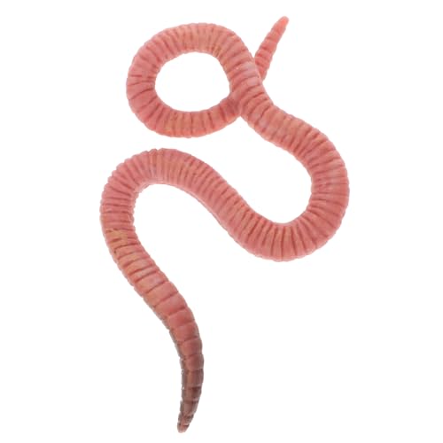 TOBBOMEY Regenwurm-modellspielzeug Kleine Insektenfiguren Fischwürmer Rote Würmer Zum Angeln Gefälschter Wurm Erde Wurmspielzeug Realistisches Simulationsinsektenmodell Plastik von TOBBOMEY