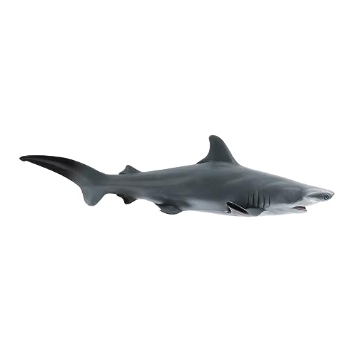 TOBBOMEY Simulation Meereslebewesen Modell aus Hochwertigem Kunststoff Pädagogisches Meereslebewesen Modell für Robust und Sicher Fördert Kreativität und Tiererkennung TOBBOMEY Simulation Meereslebewesen Modell aus Hochwertigem Kunststoff Pädagogisches Meereslebewesen Modell für Robust und Sicher Fördert Kreativität und Tiererkennung von TOBBOMEY