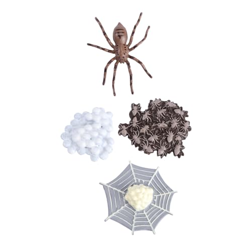 TOBBOMEY Simulation Tierdekoration Lebenszyklus Modell für Realistische Spinnen und Insekten Figuren Langlebige Lernspielzeuge zur Naturerfahrung und Foto deko für Zuhause und Party TOBBOMEY Simulation Tierdekoration Lebenszyklus Modell für Realistische Spinnen und Insekten Figuren Langlebige Lernspielzeuge zur Naturerfahrung und Foto deko für Zuhause und Party von TOBBOMEY