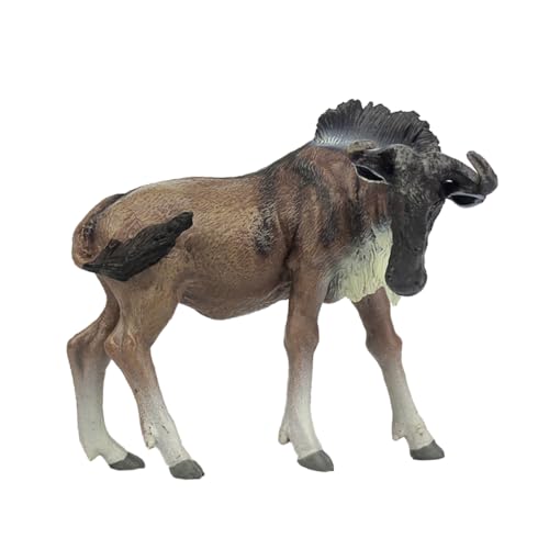 TOBBOMEY Simulation aus Lebendige Figur für Frühes Pädagogisches und Stilvolle Heimdekoration TOBBOMEY Simulation aus Lebendige Figur für Frühes Pädagogisches und Stilvolle Heimdekoration von TOBBOMEY