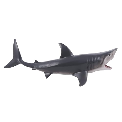 TOBBOMEY Simulations Haifigur aus Robustem Kunststoff Realistisches Meereslebewesen Modell Pädagogisches Kinderspielzeug Kreativität und Tiererkennung TOBBOMEY Simulations Haifigur aus Robustem Kunststoff Realistisches Meereslebewesen Modell Pädagogisches Kinderspielzeug Kreativität und Tiererkennung von TOBBOMEY